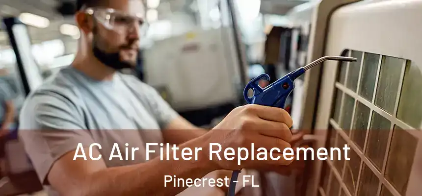 AC Air Filter Replacement Pinecrest - FL