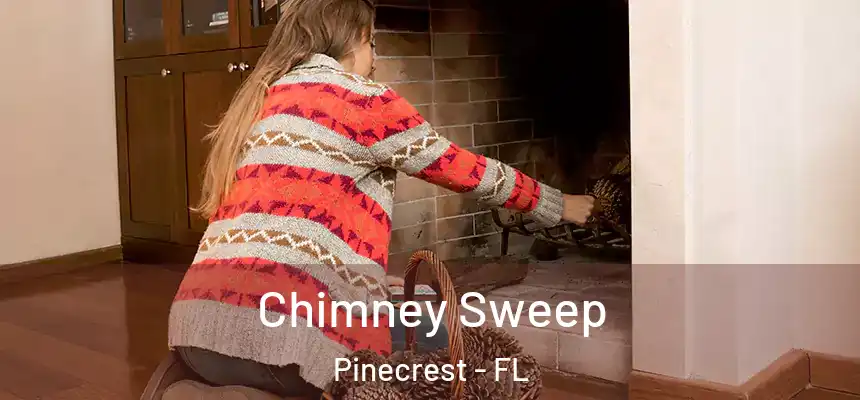 Chimney Sweep Pinecrest - FL