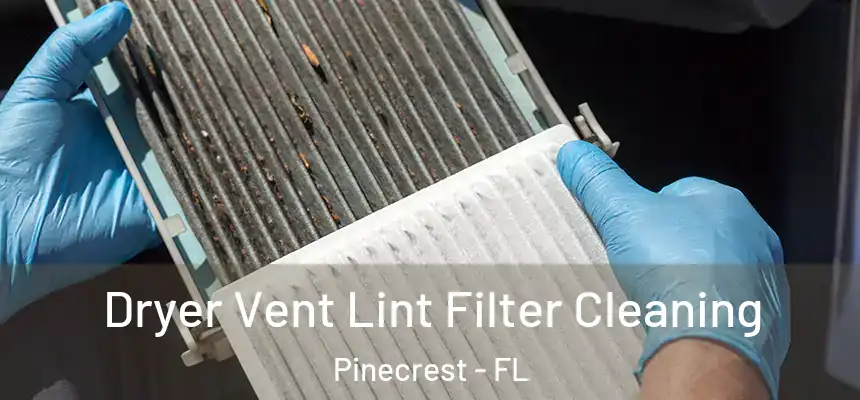 Dryer Vent Lint Filter Cleaning Pinecrest - FL