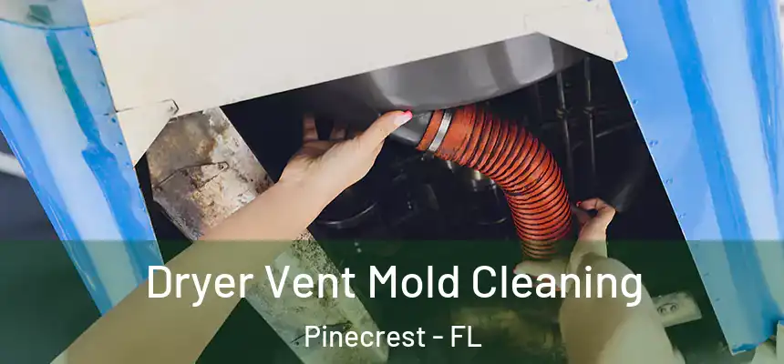 Dryer Vent Mold Cleaning Pinecrest - FL
