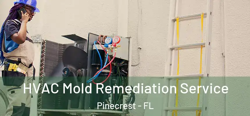  HVAC Mold Remediation Service Pinecrest - FL