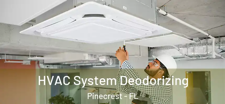 HVAC System Deodorizing Pinecrest - FL