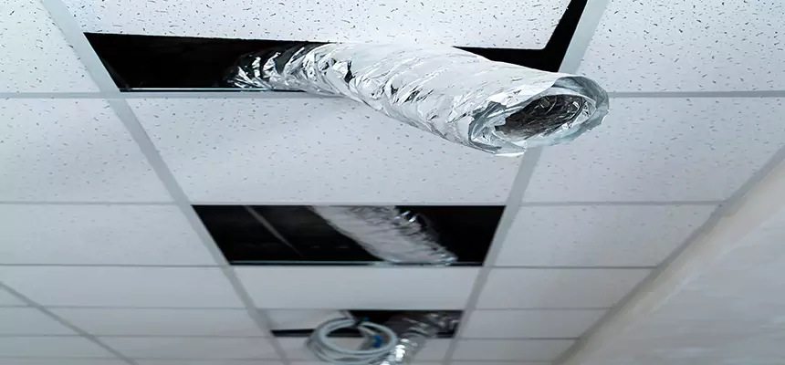 Our Air Duct Pet Hair Removal Services in Pinecrest, FL