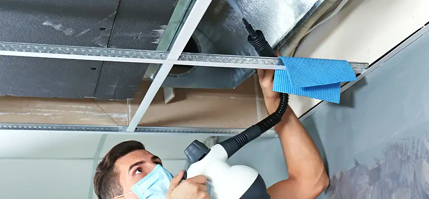 Our Air Duct Rodent Removal Services in Pinecrest, FL