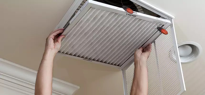 Our Insect Removal from Air Ducts Services in Pinecrest, FL
