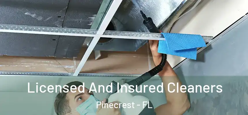 Licensed And Insured Cleaners Pinecrest - FL