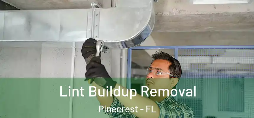 Lint Buildup Removal Pinecrest - FL