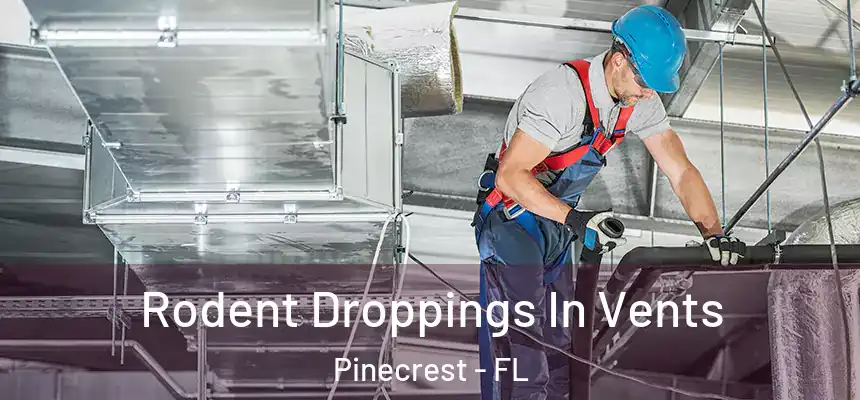 Rodent Droppings In Vents Pinecrest - FL