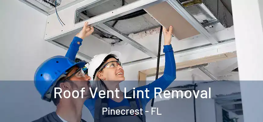 Roof Vent Lint Removal Pinecrest - FL