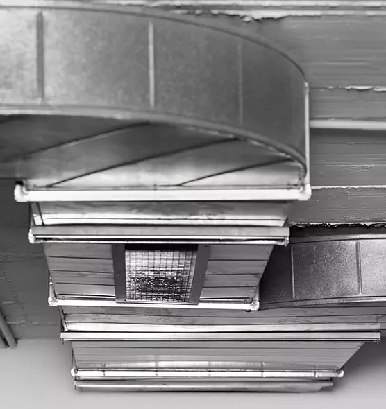 Professional Air Duct Pet Hair Removal in Pinecrest, FL