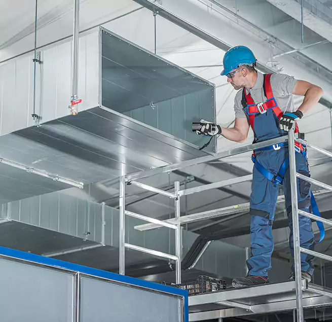 Why Homeowners & Businesses Trust Us in Pinecrest, FL?