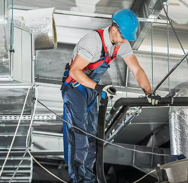 Why Homeowners & Businesses Trust Us in Pinecrest, FL?