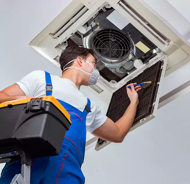 Why Homeowners & Businesses Trust Us in Pinecrest, FL?