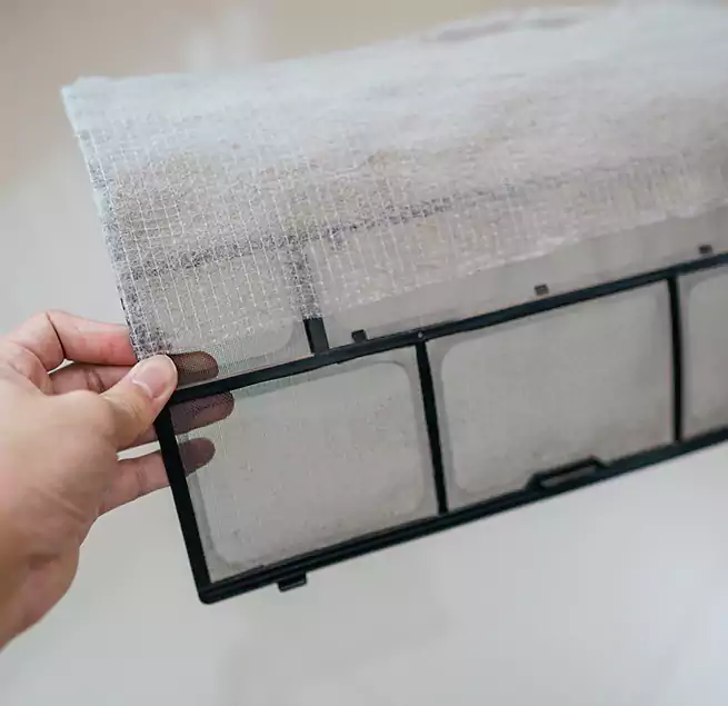 Why Homeowners & Businesses Trust Us in Pinecrest, FL?