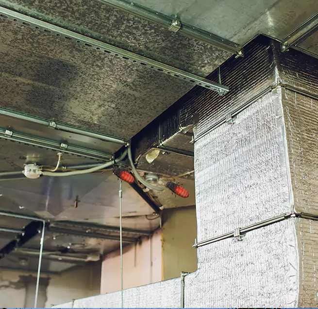 Why Homeowners & Businesses Trust Us Pinecrest, FL?