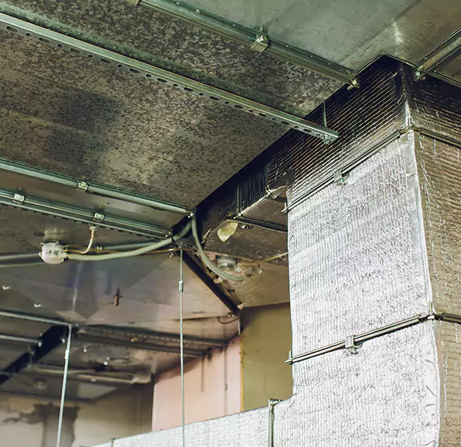 Why Homeowners & Businesses Trust Us in Pinecrest, FL?