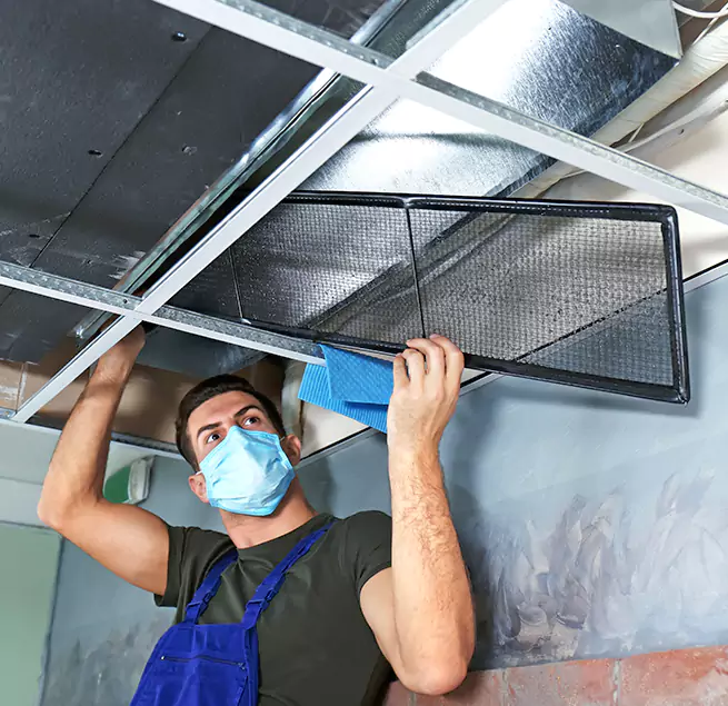 Why Homeowners & Businesses Trust Us in Pinecrest, FL?